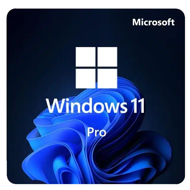 Windows 11 Pro